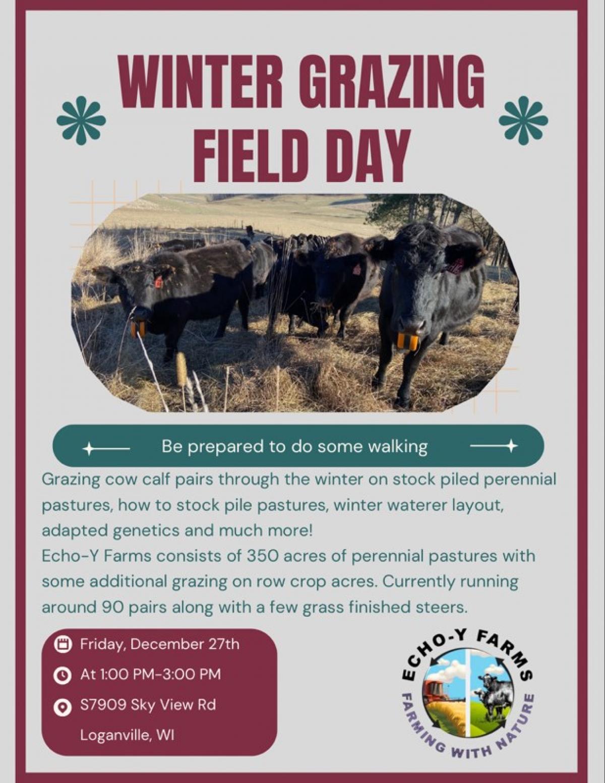 Yanke Winter Grazing Field Day