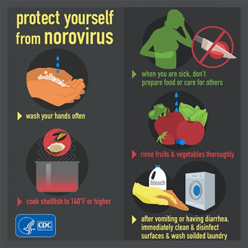 Norovirus | Sauk County Wisconsin Official Website