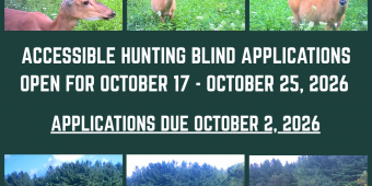 ADA Hunting Blind Applications Open A metal shed in a field with a deer in front of it to announce the hunting blind can be applied for