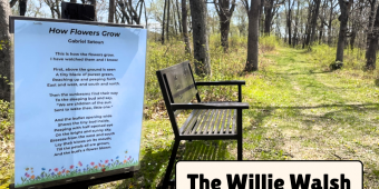 A bench sits next to a grassy trail in a wooded area, the poem How Flowers Grow by Gabriel Setoun is posted next to it.